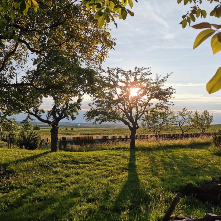 Die Röder, umgeben von üppiger, grüner Vegetation und Bäumen.